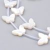 Natural White Shell Mother of Pearl Shell Beads SSHEL-L018-013-2