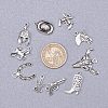 Western Charms Tibetan Style Alloy Pendants TIBEP-PH0001-05AS-4
