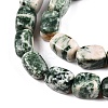 Natural Green Spot Jasper Beads Strands G-T138-96-3
