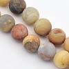 Frosted Natural Crazy Lace Agate Round Bead Strands X-G-M063-6mm-02-1