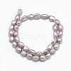 Natural Cultured Freshwater Pearl Beads Strands X-PEAR-K003-19B-2