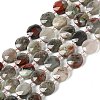 Natural Bloodstone Bead Strands G-C116-A06-01-1