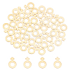 40Pcs 2 Style 304 Stainless Steel Charms STAS-UN0029-04-1