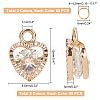 Alloy Charms ZIRC-PH0001-06-2