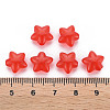 Transparent Acrylic Beads MACR-S373-26E-04-4
