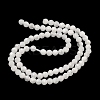 Natural Rainbow Moonstone Beads Strands G-B168-A11-2mm-3