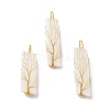 Copper Wire Wrapped Natural Selenite Big Pendants KK-E086-01G-1