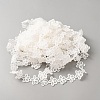 Polyester Lace Ribbon OCOR-WH0111-138C-2