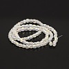 AB Color Plated Glass Faceted Drum Beads Strands GLAA-A032-3mm-AB07-2