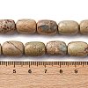 Natural Aqua Terra Jasper Beads Strands G-L624-C03-14x10mm-5
