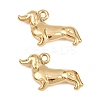 304 Stainless Steel Pendants STAS-L022-590G-1