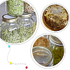 304 Stainless Steel Strainers for Seed Sprout AJEW-WH0413-27-6
