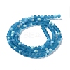Transparent Glass Beads Strands EGLA-A034-T4mm-MB27-3
