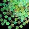 Luminous Transparent Acrylic Beads X-OACR-B031-14-3