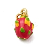 Brass Enamel Charms KK-P303-06F-G-1
