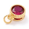 Real 18K Gold Plated Brass Inlaid Cubic Zirconia Charms ZIRC-L100-081G-07-4