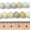 Natural Myanmar Jade/Burmese Jade Beads Strands G-K310-C05-8mm-01-2