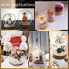 2 Sets High Borosilicate Glass Dome Cover DJEW-NB0001-19-6