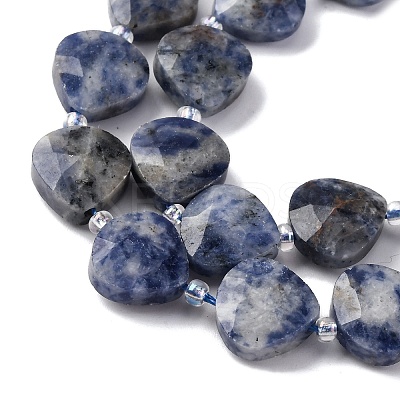 Natural Blue Spot Jasper Beads Strands G-P570-E19-02-1