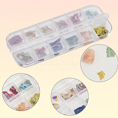 1 Set 12 Colors Shell Slices MRMJ-SP0001-05A-1