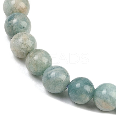 Natural Amazonite Beads Stretch Bracelets for Men Women BJEW-K286-01-1