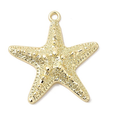 Alloy Big Pendants X-FIND-H055-13G-1