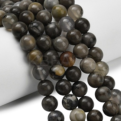 Natural Volcanic Agate Beads Strands G-G305-A01-8mm-1