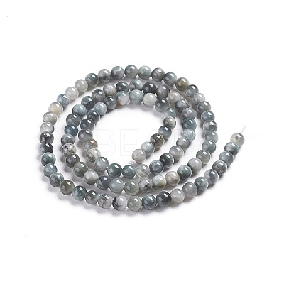 Natural Eagle Eye Beads Strands G-I281-02-4mm-1