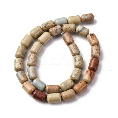 Natural Aqua Terra Jasper Beads Strands G-L624-C03-12x8mm-1