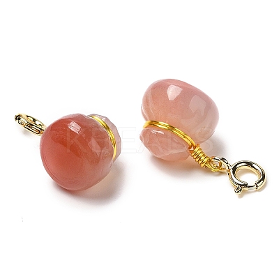 Natural Agate Money Bag Pendant Decoration G-K341-17G-1