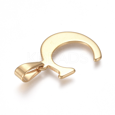 304 Stainless Steel Pendants STAS-F106-95G-C-1