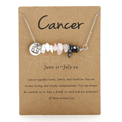 667 Stainless Steel with Natural Howlite & Natural Rose Quartz  & Natural Snowflake Obsidian Chip Pendant Necklaces FS-WGFED6E-04-1