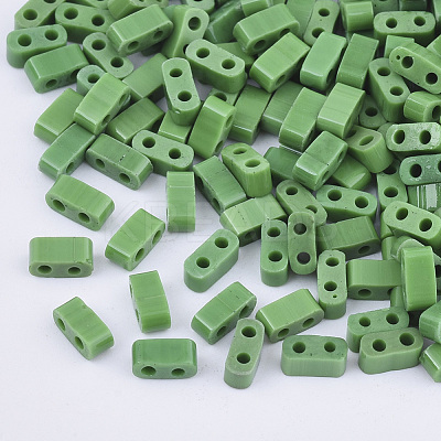 FGB 2-Hole Glass Seed Beads X-SEED-S031-M-047-1