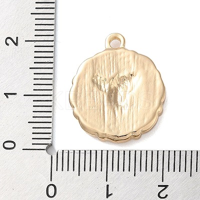 Zinc Alloy Enamel Pendants LS-ENAM-Z011-02G-B-1