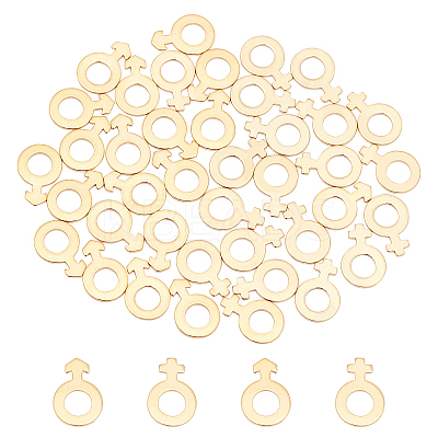 40Pcs 2 Style 304 Stainless Steel Charms STAS-UN0029-04-1