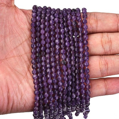 Natural Lepidolite/Purple Mica Stone Beads Strands G-A260-A04-01-1