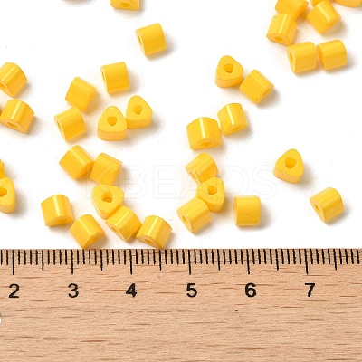 Baking Paint Glass Bead SEED-H002-K-D301-1