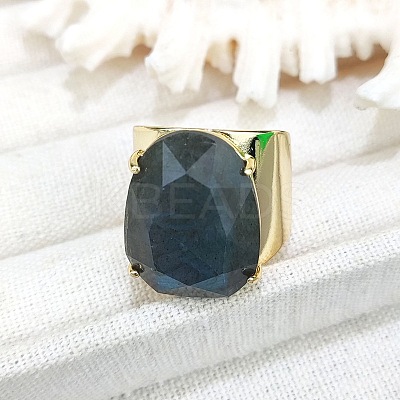 Oval Brass with Natural Labradorite Cuff Rings FS-WG8D200-09-1