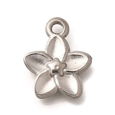 304 Stainless Steel Pendants STAS-P381-10P-1