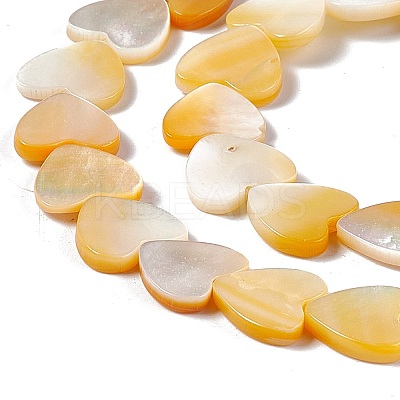 Natural Yellow Shell Beads Strands SHEL-F003-01B-1