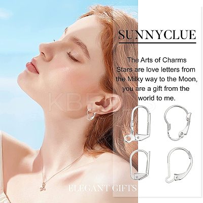 24Pcs 4 Styles Brass Leverback Earring Findings KK-SC0002-28S-1
