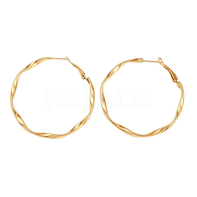 304 Stainless Steel Hoop Earrings EJEW-I320-25G-02-1