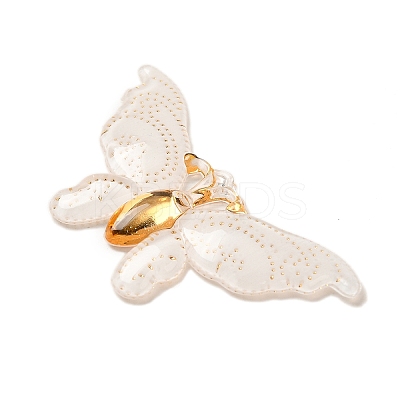 Gradient Color Resin Pendants RESI-Q012-03E-1