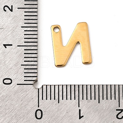 304 Stainless Steel Charms LS-STAS-B093-12G-N-1