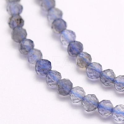 Natural Cordierite/Iolite/Dichroite Beads Strands G-F509-15-2mm-1