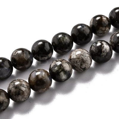 Natural Glaucophane Beads Strands G-O199-01C-1