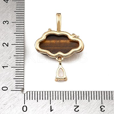 Natural Tiger Eye Carved Pendants GG-CBA5963-03F-1