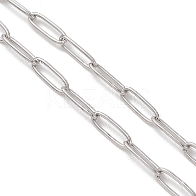 Alloy Tassel Pendant 304 Stainless Steel Paperclip Chain OT Necklaces NJEW-JN05879-1