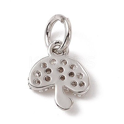 Brass Micro Pave Cubic Zirconia Charms ZIRC-F132-19P-1