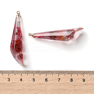 Inner Dried Flower Transparent Resin Pendants RESI-A043-08A-1